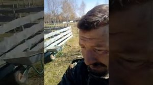 Осиновые столбы на 15 лет .