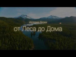 История доски: от леса до дома