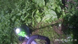Триммер GREENWORKS GST5033M (21277) - лопухи даже шпарит.