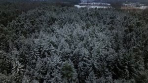 Winter Walk in Holter Wald - Drone Footage - Schloss Holte-Stukenbrock