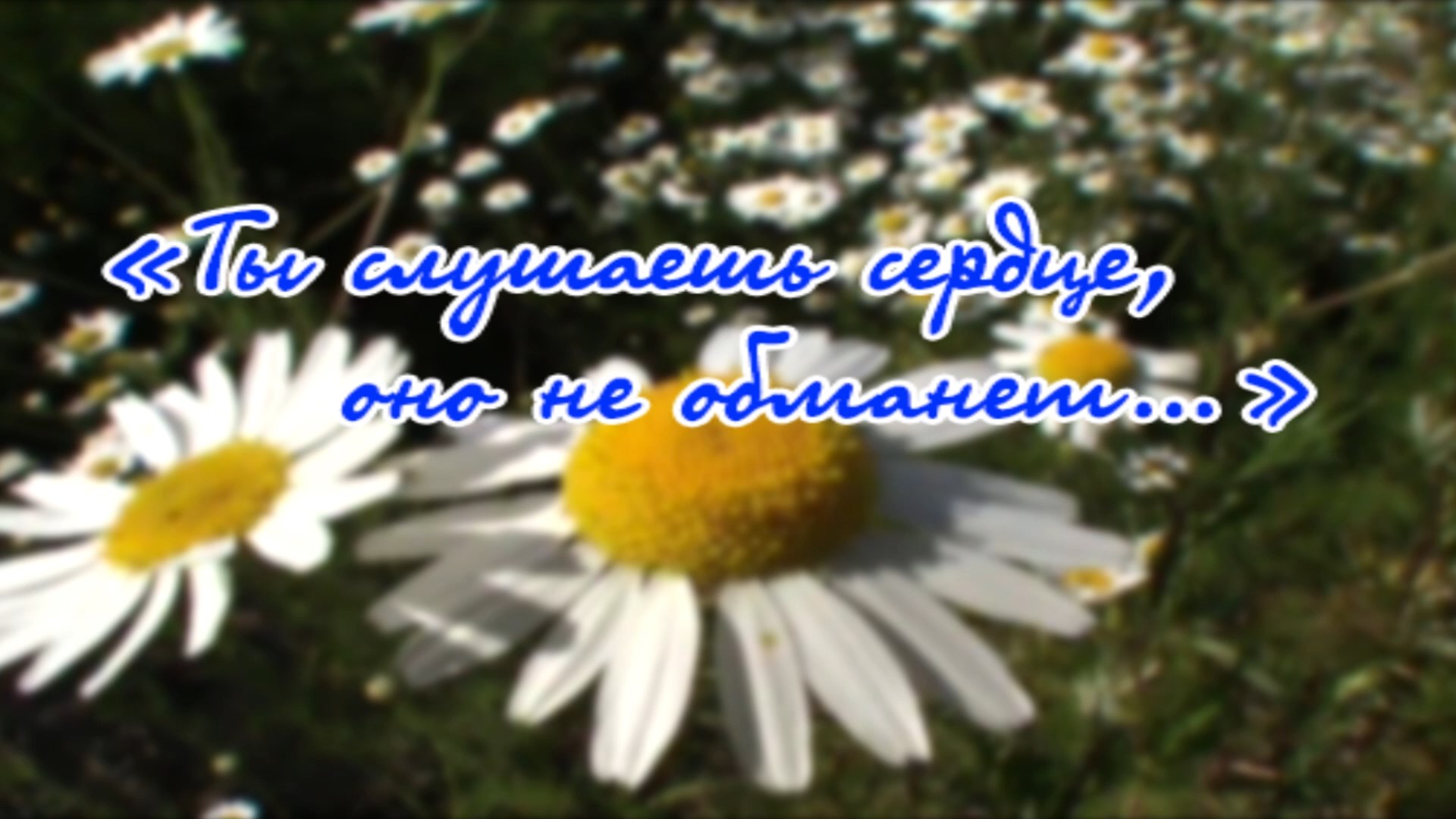 Встреча_с_Натальей_ЦВЕТКОВОЙ