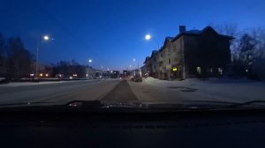 Приучаем щенков к пеленке. Шпицам 41 день. Солянка