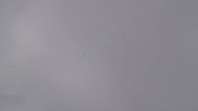 Полет СВГ без 