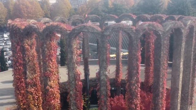 Осенняя ротонда в Тбилиси с высоты птичьего полета смотреть онлайн