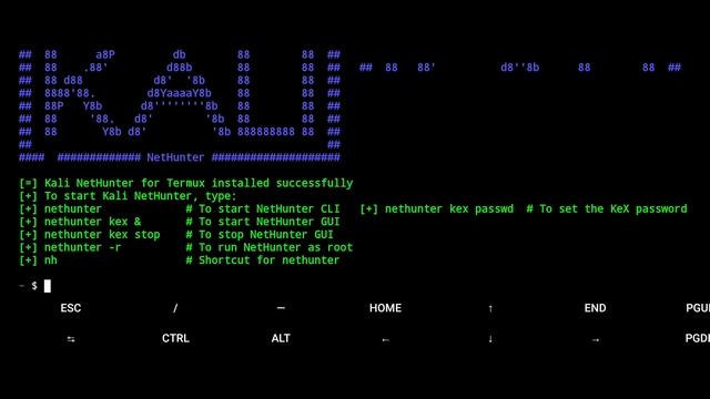 Install Kali NetHunter on any Android Phone: A Step-By-Step Guide смотреть онлайн