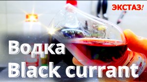 Мацерация сока | Черносмородиновый концентрат | Водка Black currant Шикарнейший напиток