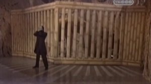 Фокус исчезновение слона  - Тайны великих магов