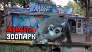 Куда сходить с детьми в Анапе? Зоопарк «В мире животных»
