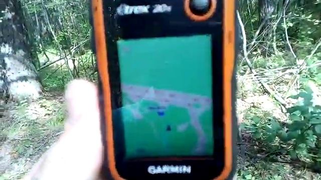 Выживание в  лесу. GARMIN GPS - навигатор для туриста, ищем где растут маслята.