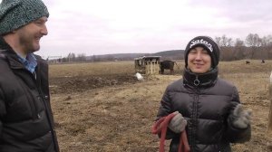 На ферме #Чёзасыр, Мы опять в гостях. Кто ходит в гости по утрам ... #Большаяземля!