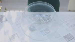 Композиция из комнатных растений: хлорофитум, циссус, традесканция, плющ, мюленбекия