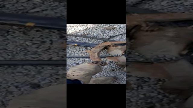 Балка пежо 206