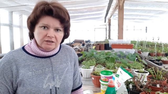 1 часть. Питание растений.  Основы.