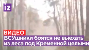 «Лес чудес — зашел с ногами, вышел без»: ВСУшники мчатся через лес под Кременной и боятся не доехать