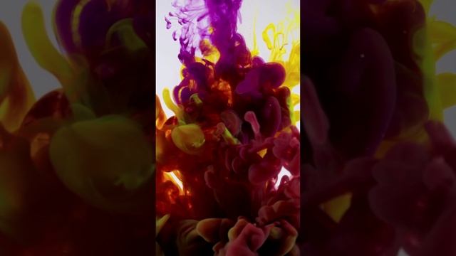 Мир с диваном и другие умности