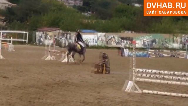 Екатерина Юдейките на Пломбире. Конкур 80 см. 1 место смотреть онлайн