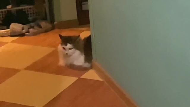 РАЦИОН МЕГАН ФОКС ? ХУДЕЮ | МЕНЮ НА ДЕНЬ НА 1300 ККАЛ смотреть онлайн