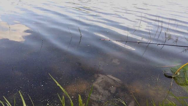 Жор плотвы - не рыбалка, а сказка... смотреть онлайн