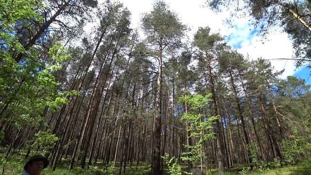 Тропа Лесоводов Прикамья (2_2) 29 мая 2020.