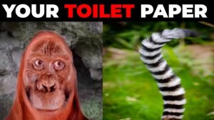 Mr Incredible Becoming Old/Uncanny Compilation