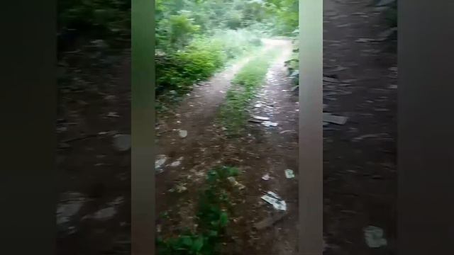 Велотрип Санкт-Петербург - Сочи (день 10) смотреть онлайн