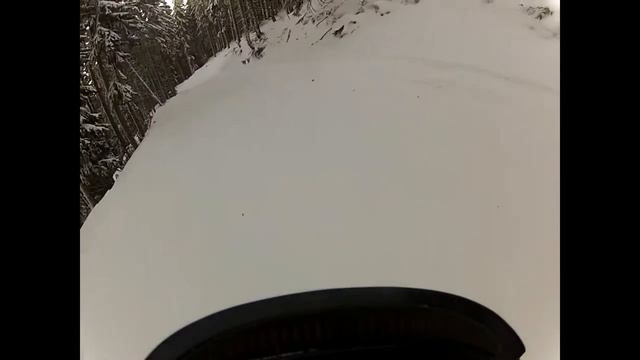 Склон #18. Ledenica через лес и подъезд к нему. Красиво. 01.2013. Копаоник. Сербия. смотреть онлайн