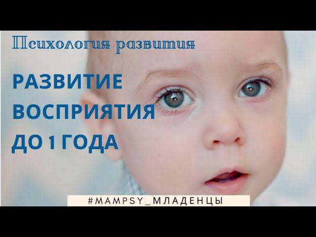 Психическое развитие младенцев. Детская психология. Развитие восприятия до 1 года.