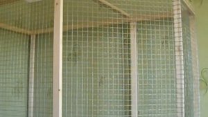 Строим вольер для попугаев Нимфа - Корелла 3 день.