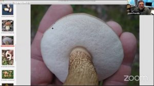 Western PA Mushroom Club - August 2020 - Boletes