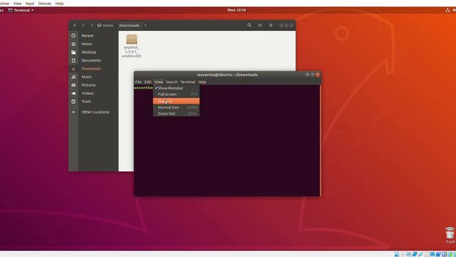 How to install Anydesk on ubuntu 18.04  Remote Desktop