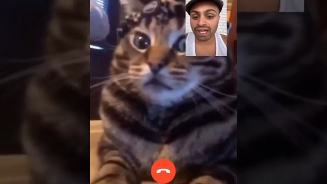 Джавид новая озвучка 😂 смотреть онлайн