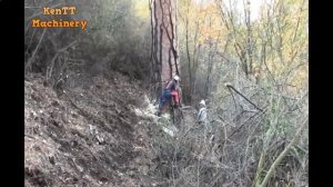 Опасная Вырубка Самых Больших Деревьев Бензопилой Экстремальные Навыки 80 lvl1