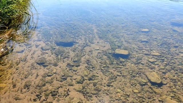 Природный аквариум. Река Сим. г.Аша.
