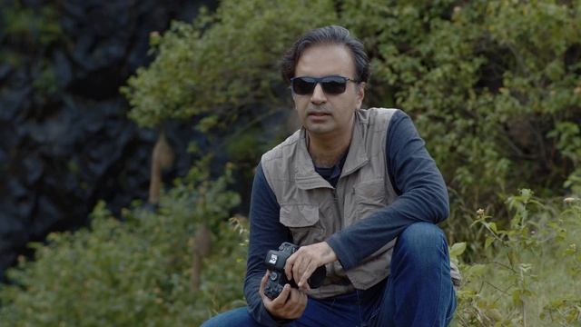 Canon EOS R6 Field Review for Wildlife Photography смотреть онлайн