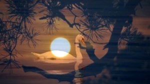 Музыка нью-эйдж , глубокая медитация , дзен йога, расслабляющий