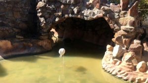 Акулы в Хургаде? Экскурсия в Гранд Аквариум?  Сколько стоит билет ? Разочарование или восторг ?