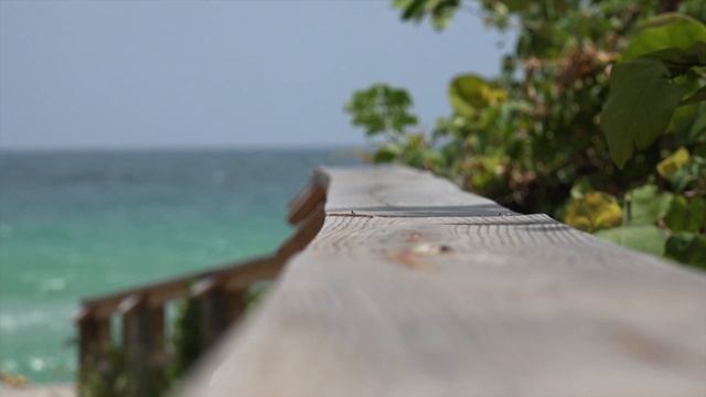 Один субботний день 30 августа Снято в 4 K на sony FDR AX 100 смотреть онлайн