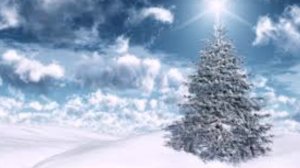 В лесу родилась елочка.