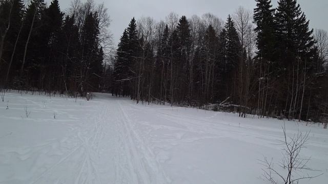 от биомеда до динамо поход дубль два 30 янв 2024 смотреть онлайн