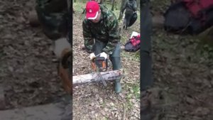 Бензопила Ермак в действии