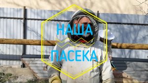 НАША ПАСЕКА результат подсиливания семей перестановкай ульев