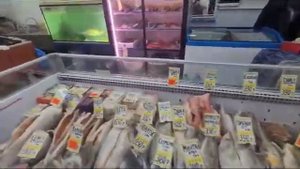 Готовый бизнес. Рыбный магазин в г. Красногорск