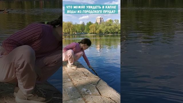 Что можно увидеть в капле воды из городского пруда?