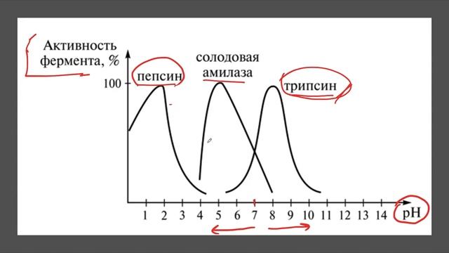Графики, средняя и медиана