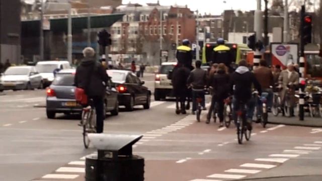 Лошади и велосипеды на улочках Амстердама смотреть онлайн