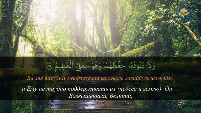 Аят аль Курси - самый великий аят Корана - слушай для защиты утром и вечером.   #аяталькурси #коран