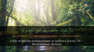 Аят аль Курси - самый великий аят Корана - слушай для защиты утром и вечером.   #аяталькурси #коран