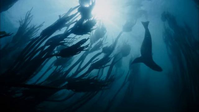 BYSAD - ZEMŪDENS MOŠĶU RĪTAUSMA смотреть онлайн