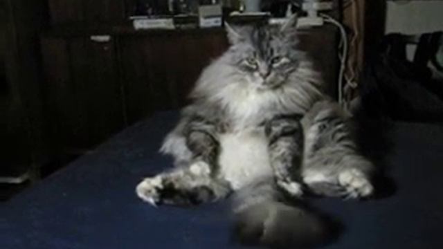 MVI 6341 смотреть онлайн