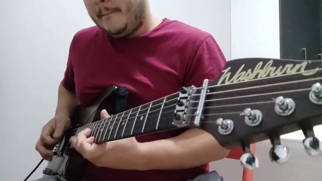 Washburn N4 MIJ Padauk смотреть онлайн